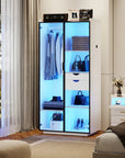 2-Door Wardrobe Armoire with LED Lights